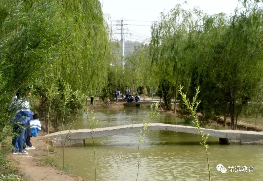 靖远县教育系统人才引进,靖远县人才引进