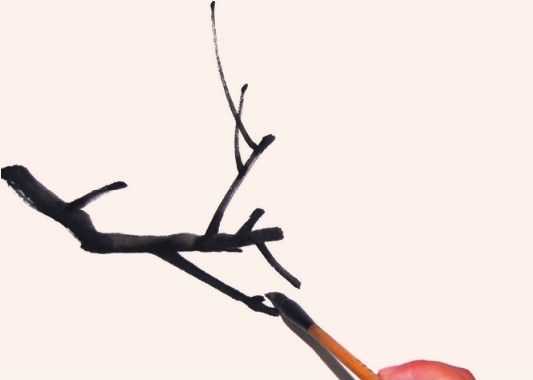 国画教程零基础入门树的画法,国画花卉线稿教程大全