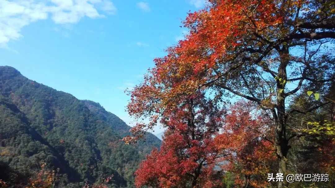 绍兴古道攻略一日游自由行,此生必去的三条国道