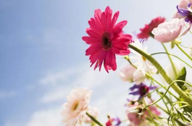 人生感悟一句话正能量短句,高质量语录正能量句子