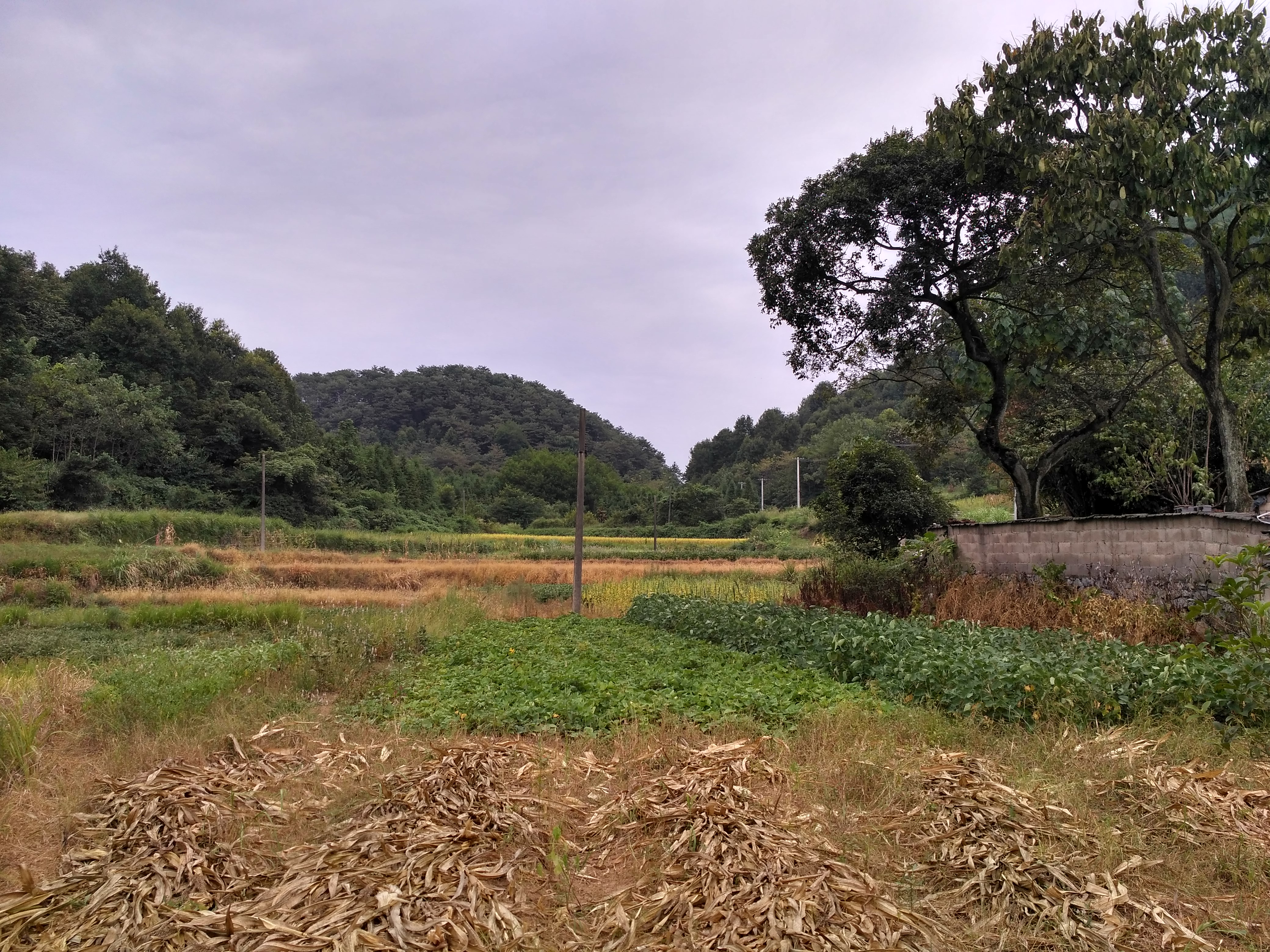 铜陵市义安区天门镇龙云村,安徽铜陵龙云村