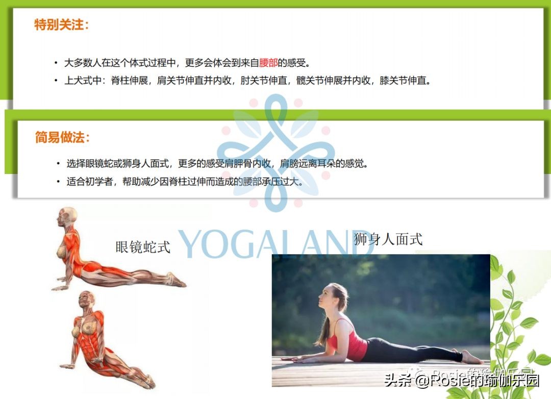 瑜伽小白如何在家自己练瑜伽,瑜伽零基础入门的基本体式有哪些