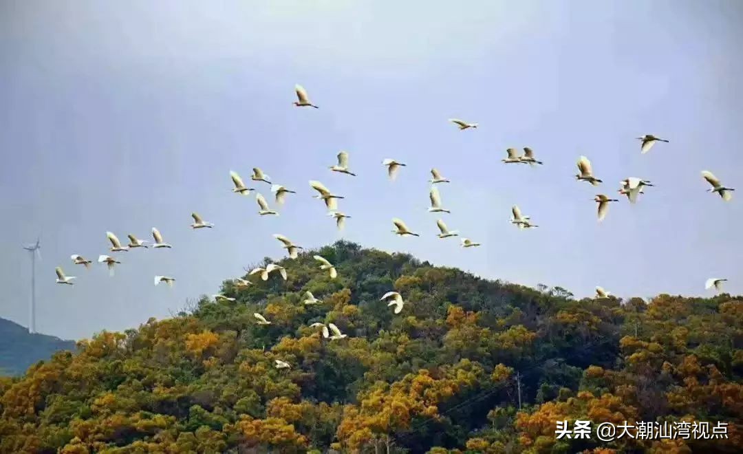 汕头南澳第一高峰,汕头能爬最高的山