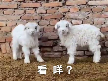 都美竹再度发文,都美竹再发文爆料