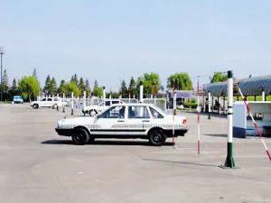 自贡市交通运输管理处最新通知,交通运输部关于驾考的最新通告