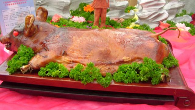 广西野猪“皇后”刘莹的致富经