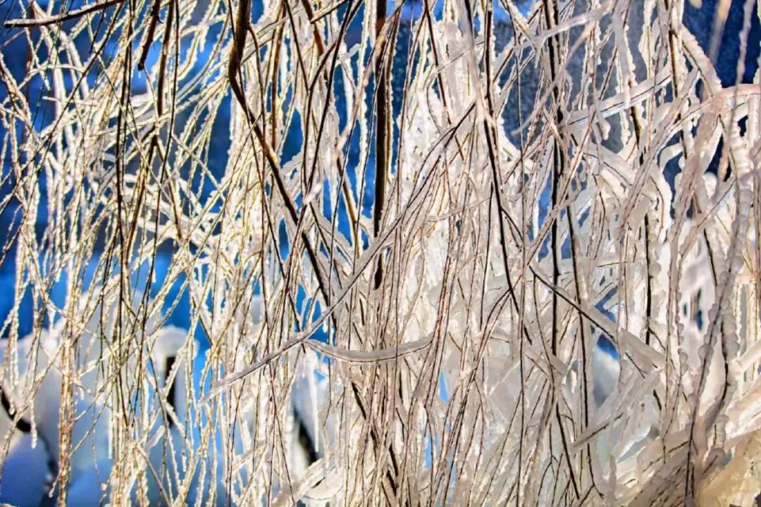 赏雪何须去北国,赏梦幻雾凇耍雪的绝佳去处