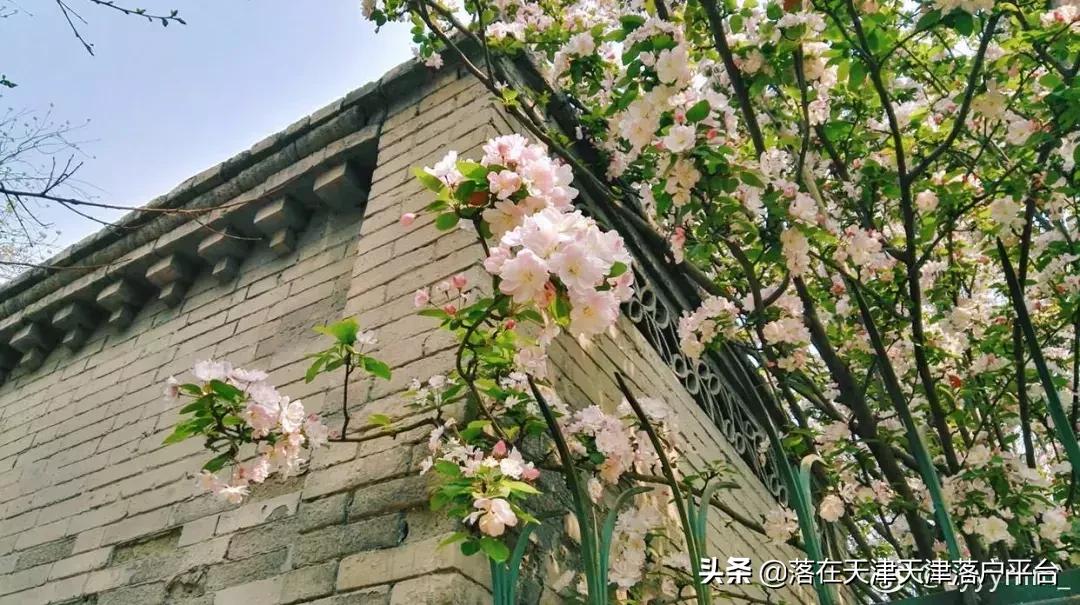 一共有几所南开学校,南开区的中学真实排名