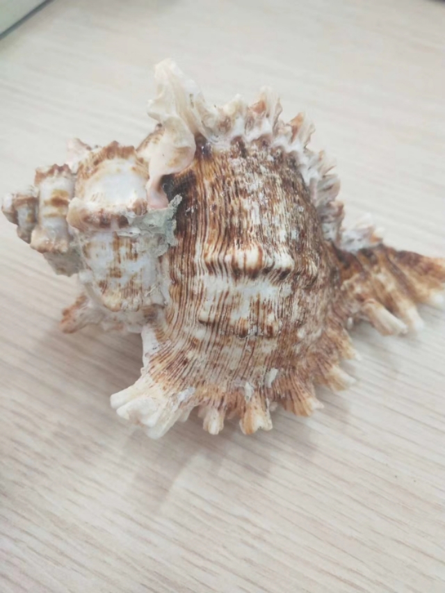 最好的母亲节礼物文章,最好的母亲节礼物阅读答案