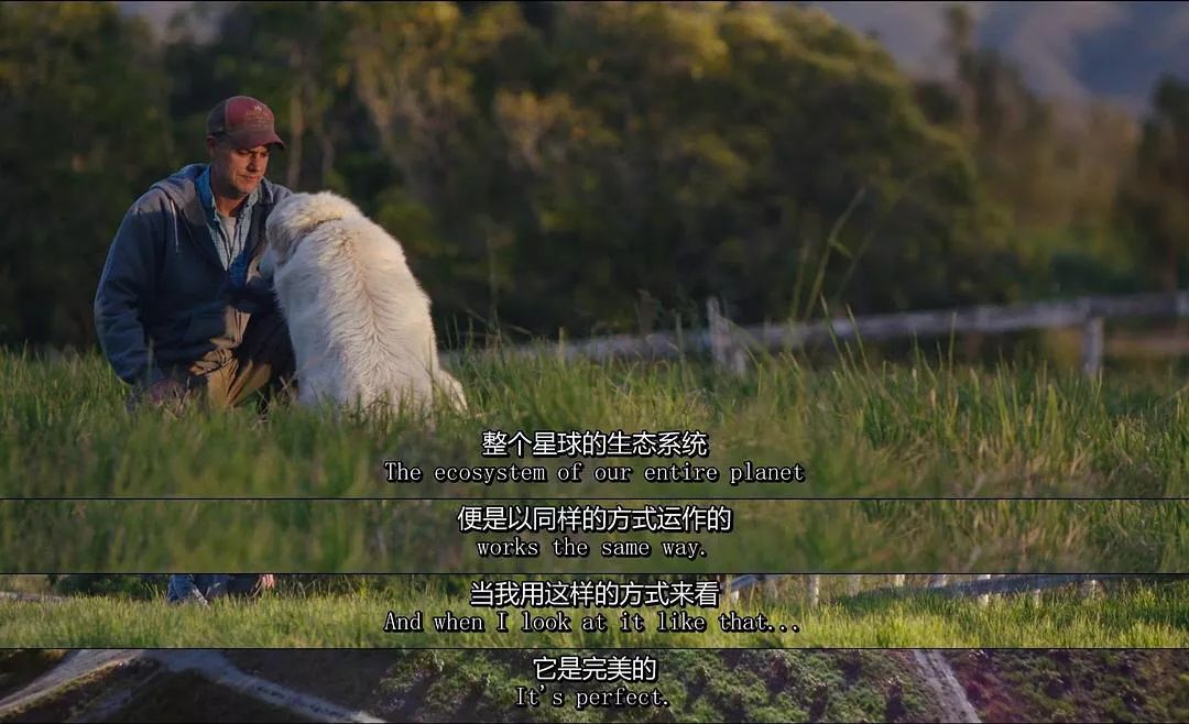 豆瓣9.3分这对夫妻打造1200亩生态农场，“堪称美版「李子柒」”