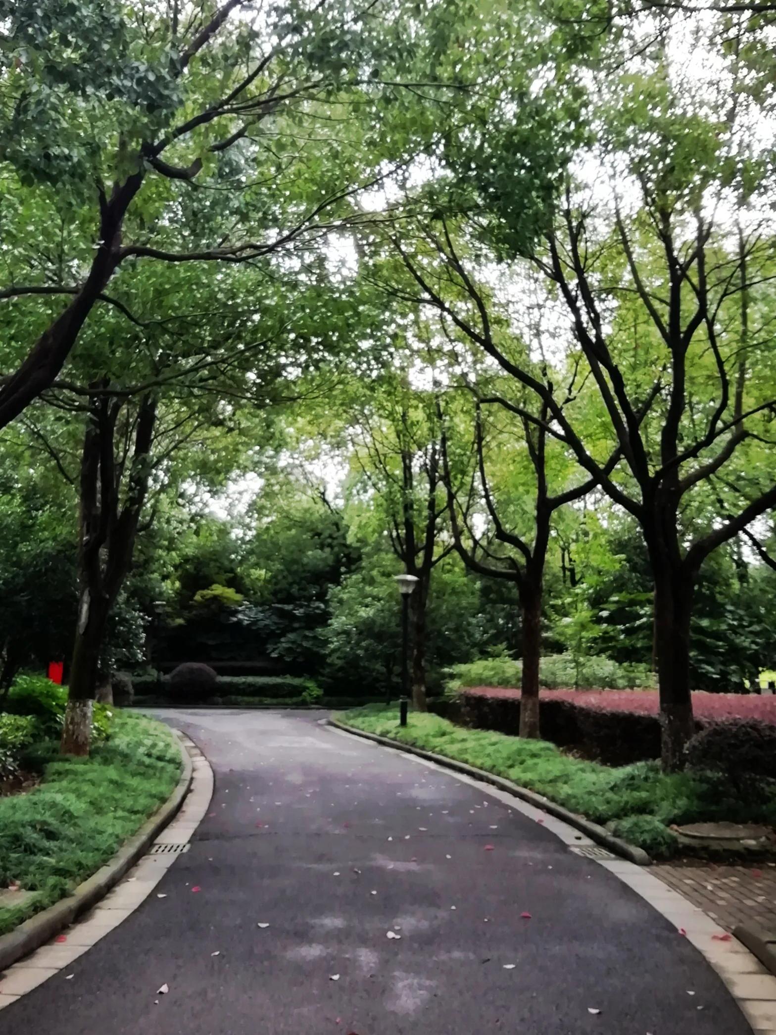 手拍世界投稿,手拍世界作品专集