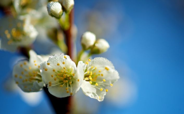 原创诗词七绝新韵,原创诗词五言绝句