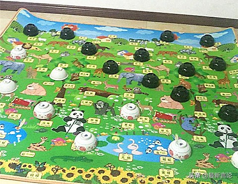 董路做足球小将是怎么选择的,董路足球小将有出路吗