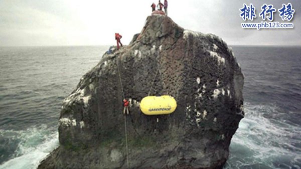 世界上独一无二猪岛,巴哈马群岛猪岛