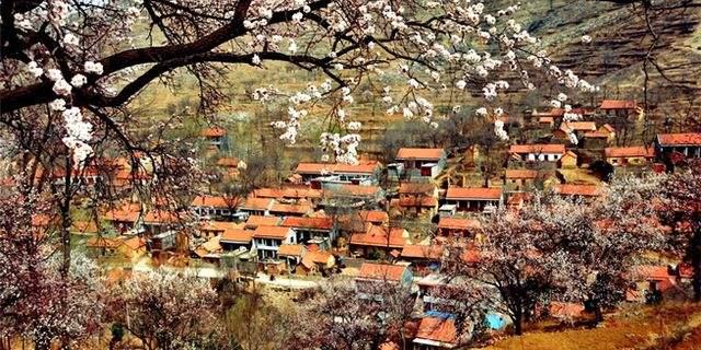 汾酒的优势介绍,汾酒都有什么特点