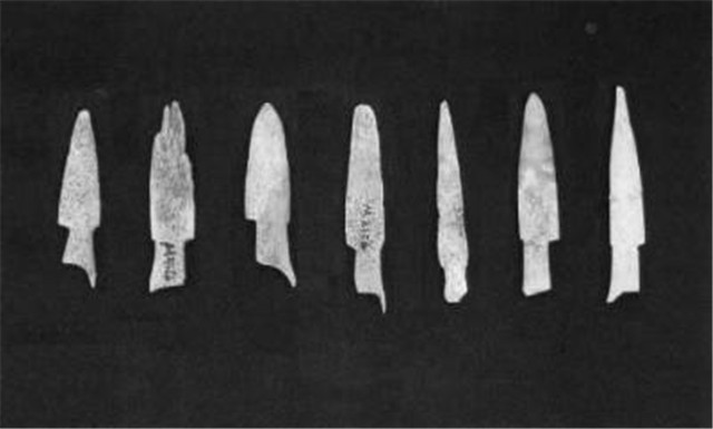 7300年少女现陕西，体内18种凶器35处致命伤，仅因身体一缺陷