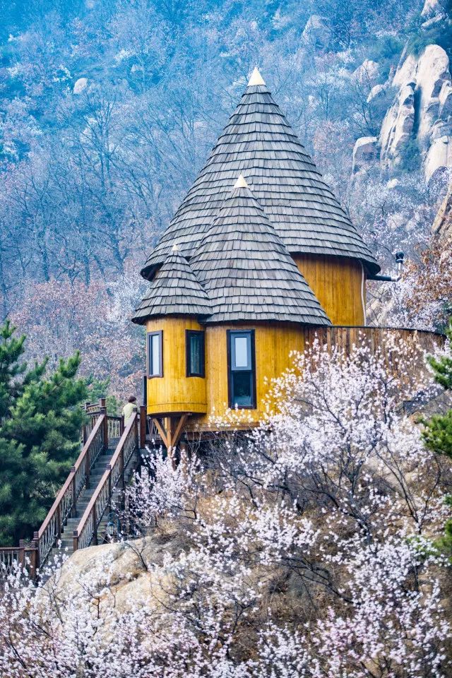 特色树屋民宿度假屋设计方案,很有创意的木屋