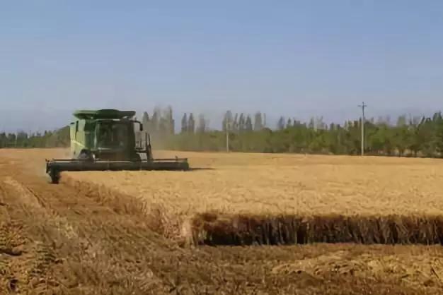 新疆昌吉州奇台县碧流河腰站子村,奇台县腰站子村概况