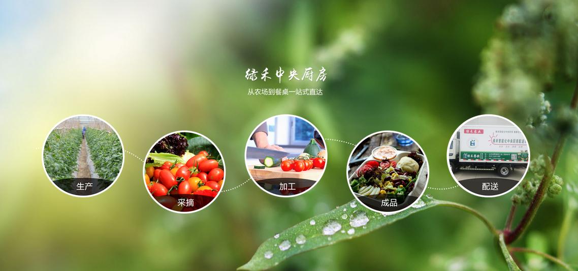 山东绿禾肥业有限公司,山东绿禾农业综合开发