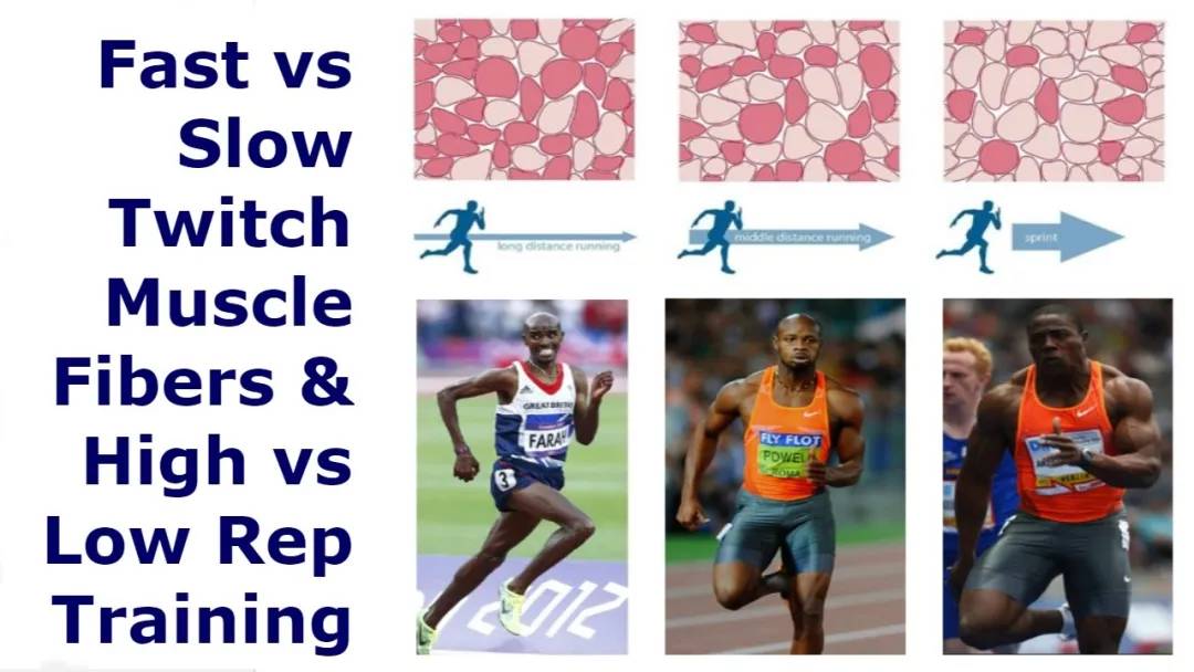 弹跳力是天生还是后天练,弹跳力是天生的吗