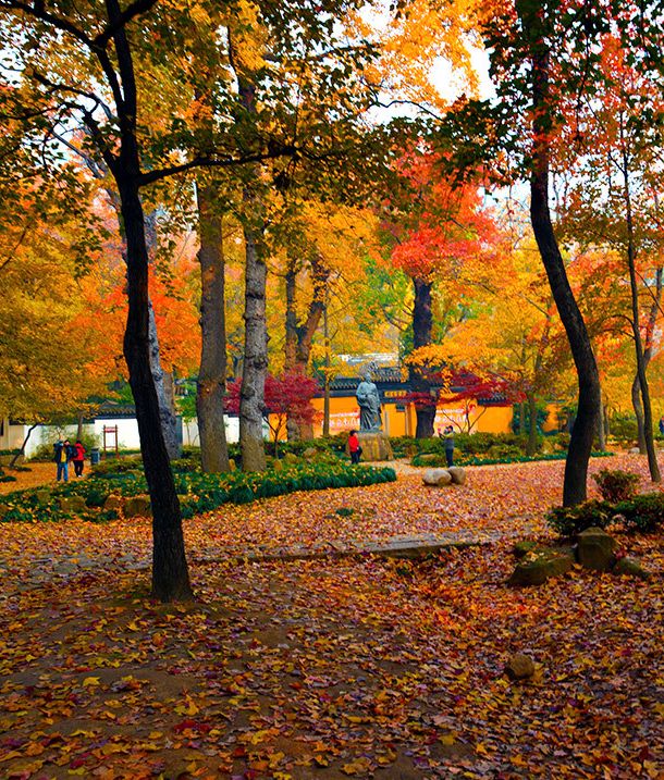 古镇水墨风景,水墨画古镇风景
