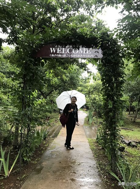 日本的小微企业有哪些,日本小微企业