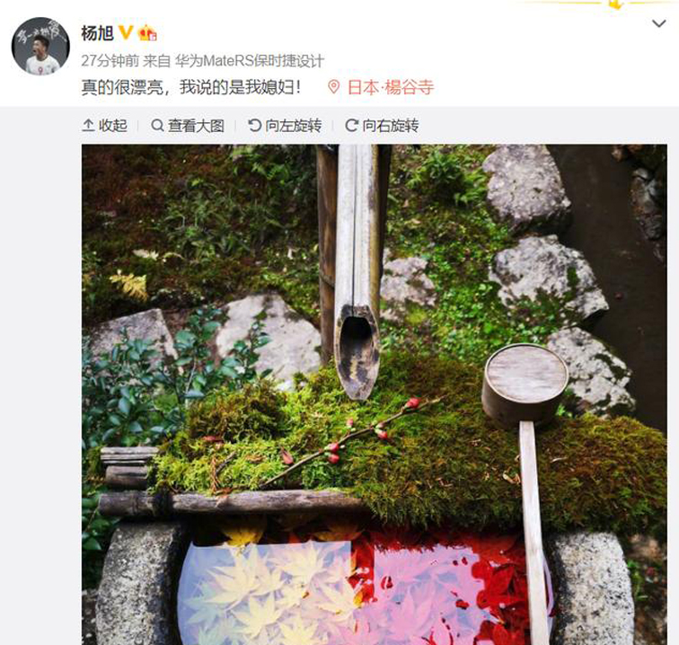 杨旭将狗粮撒到日本！深吻娇妻+盛赞球迷：真是丧心病狂的秀恩爱