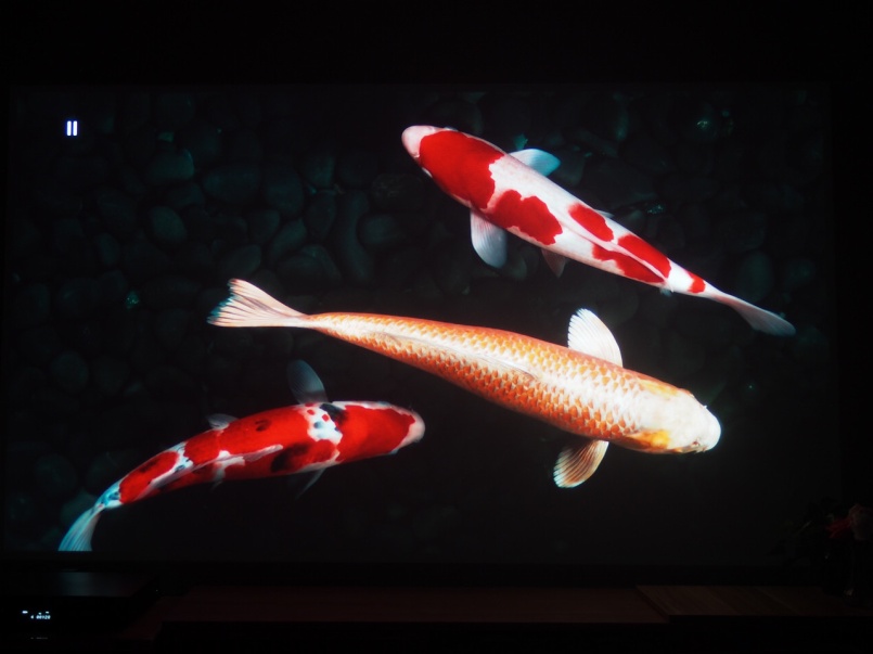 开博尔光纤hdmi2.1,开博尔hdmi和绿联hdmi哪个好