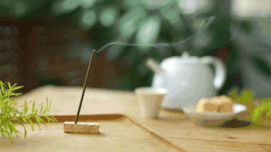 艾草的保健养生知识大全,艾草养生必备功效和作用