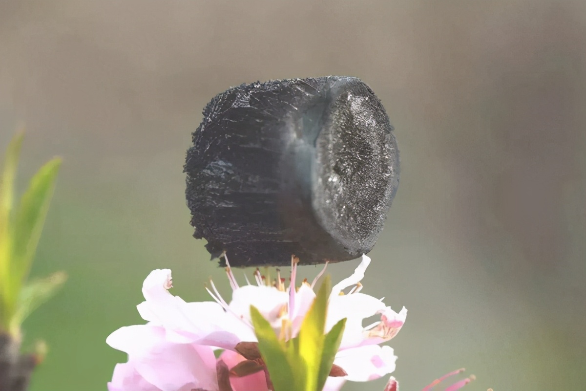 龙是否存在龙是一种怎样的生物,如果龙真实存在为什么没有化石