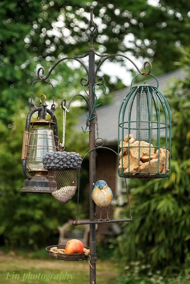 荷兰见闻,荷兰旅居见闻