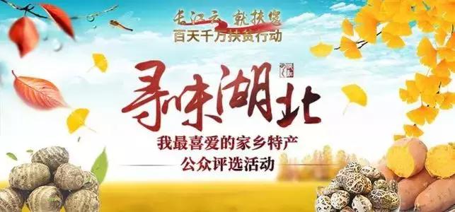 这么多大佬来到垄上频道，原来是那个差点成了雷军第二的人，终于有了大动作！