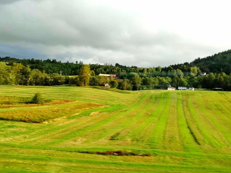 北欧半岛游记挪威,北欧四国之挪威风光