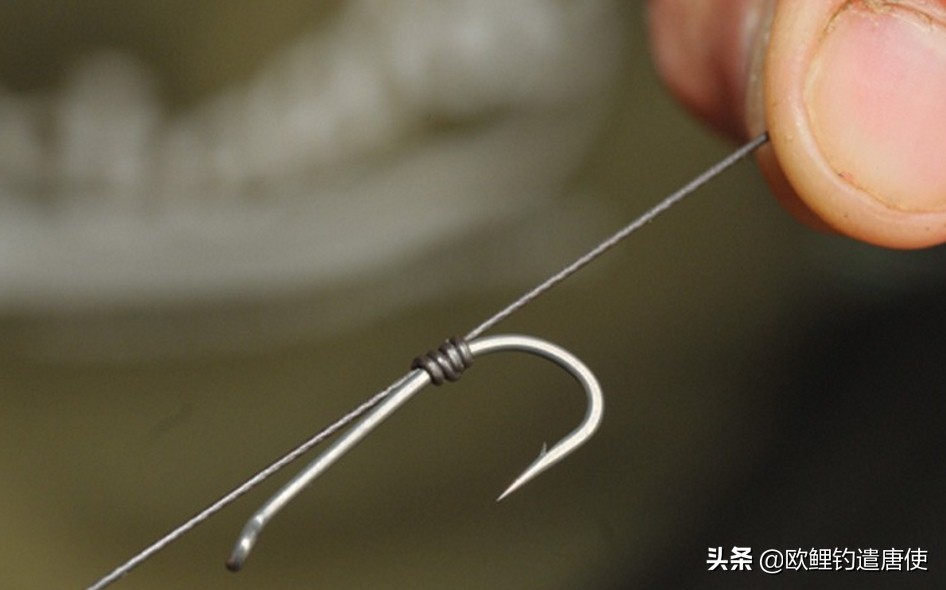 话说欧鲤钓最新消息,话说欧鲤钓鱼完整版