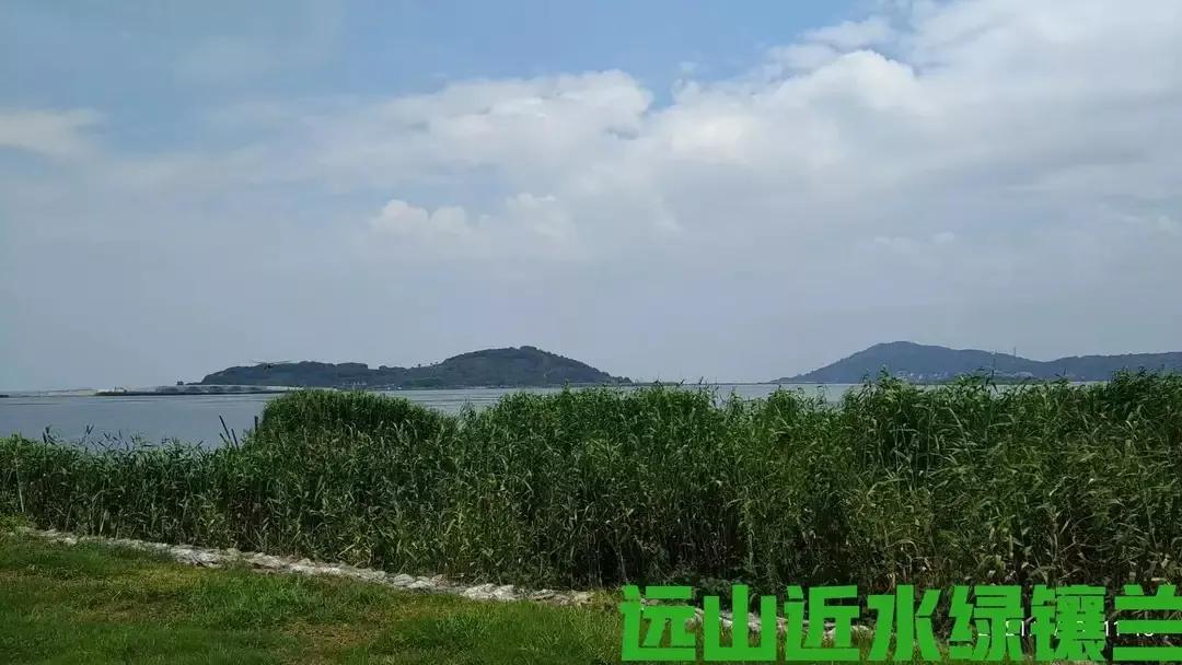 瑗垮北閲戝涵闆嗗競,鑻忓窞瑗垮北鍒閲戝涵涔愬簻