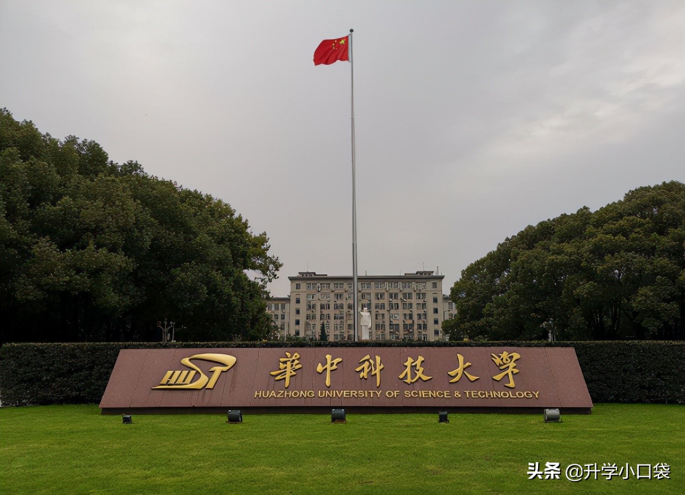 华中科技大学本科各专业升学数据出炉，这4个专业，升学率达80%