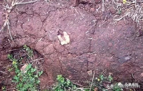 南阳全国重点保护单位,南阳市重点文物名单