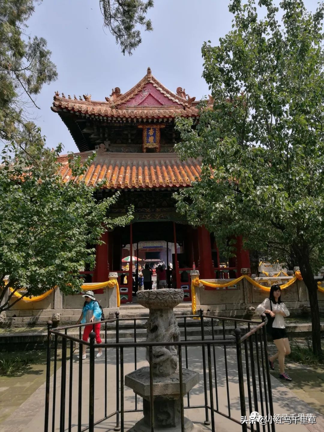 曲阜孔府孔庙孔林历史背景,曲阜孔府孔庙孔林一游