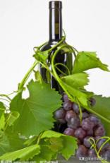 贵腐葡萄酒是什么葡萄,贵腐酒甜白葡萄酒是什么味道