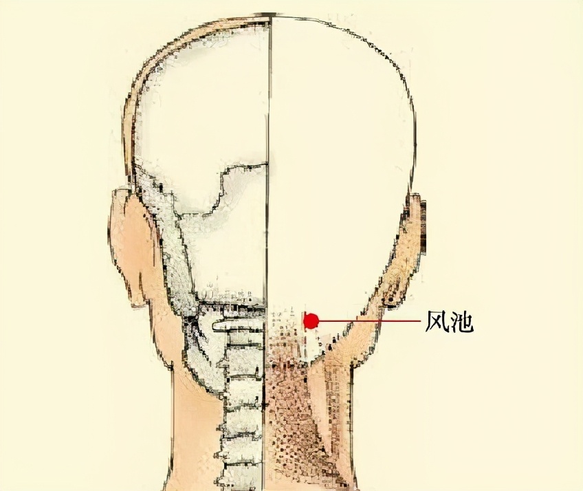 肩颈酸痛的穴位解决方法,缓解肩颈酸痛最有效的运动