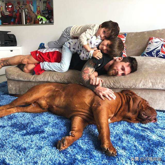 梅西和c罗的宠物,梅西和c罗的宠物跑到足球场上