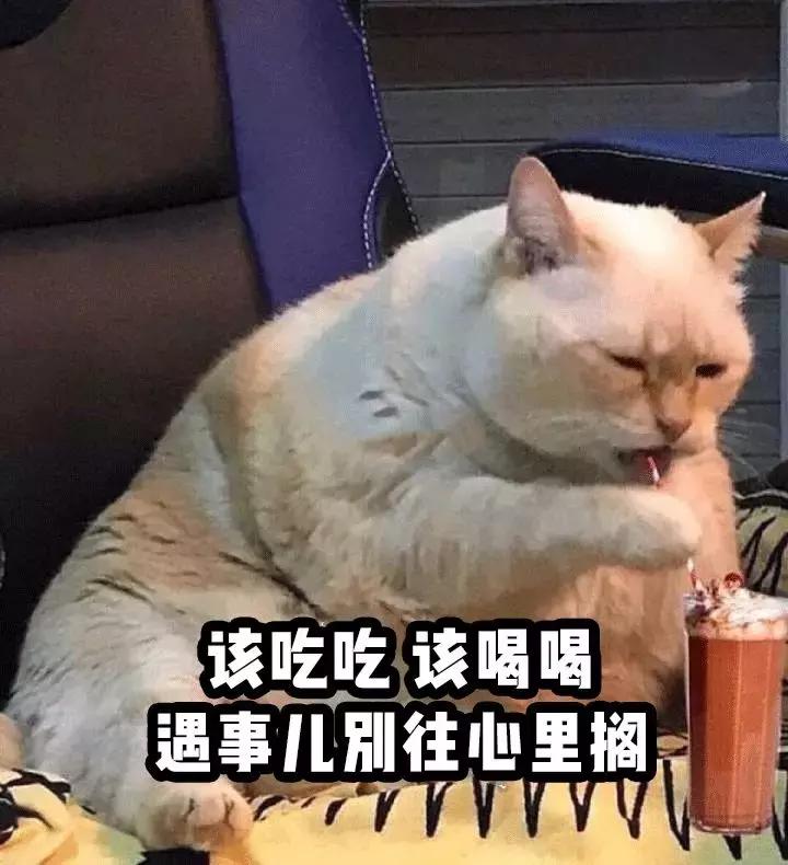 大白兔香水平价,大白兔香水哪款好闻