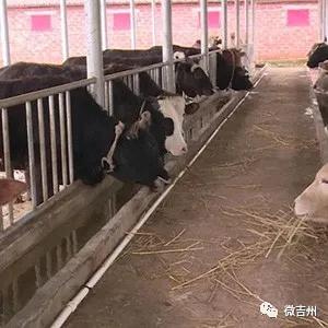 十大特色扶贫产品,第十七批全国扶贫产品名录