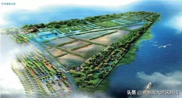 珠海打造粤港澳大湾区经济新引擎,珠海大湾区会成为经济中心吗