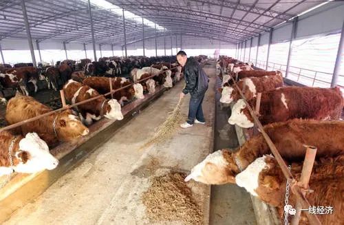 韩国物价疯涨，一个梨20多元