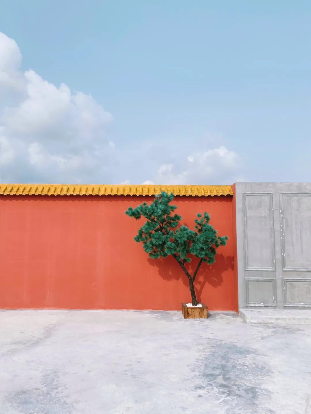 醒图appp图教程,好用的修图app教程