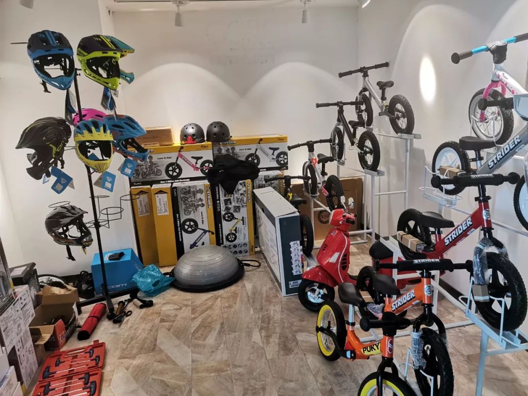 实体店最贵的平衡车 (实体店的平衡车好吗)