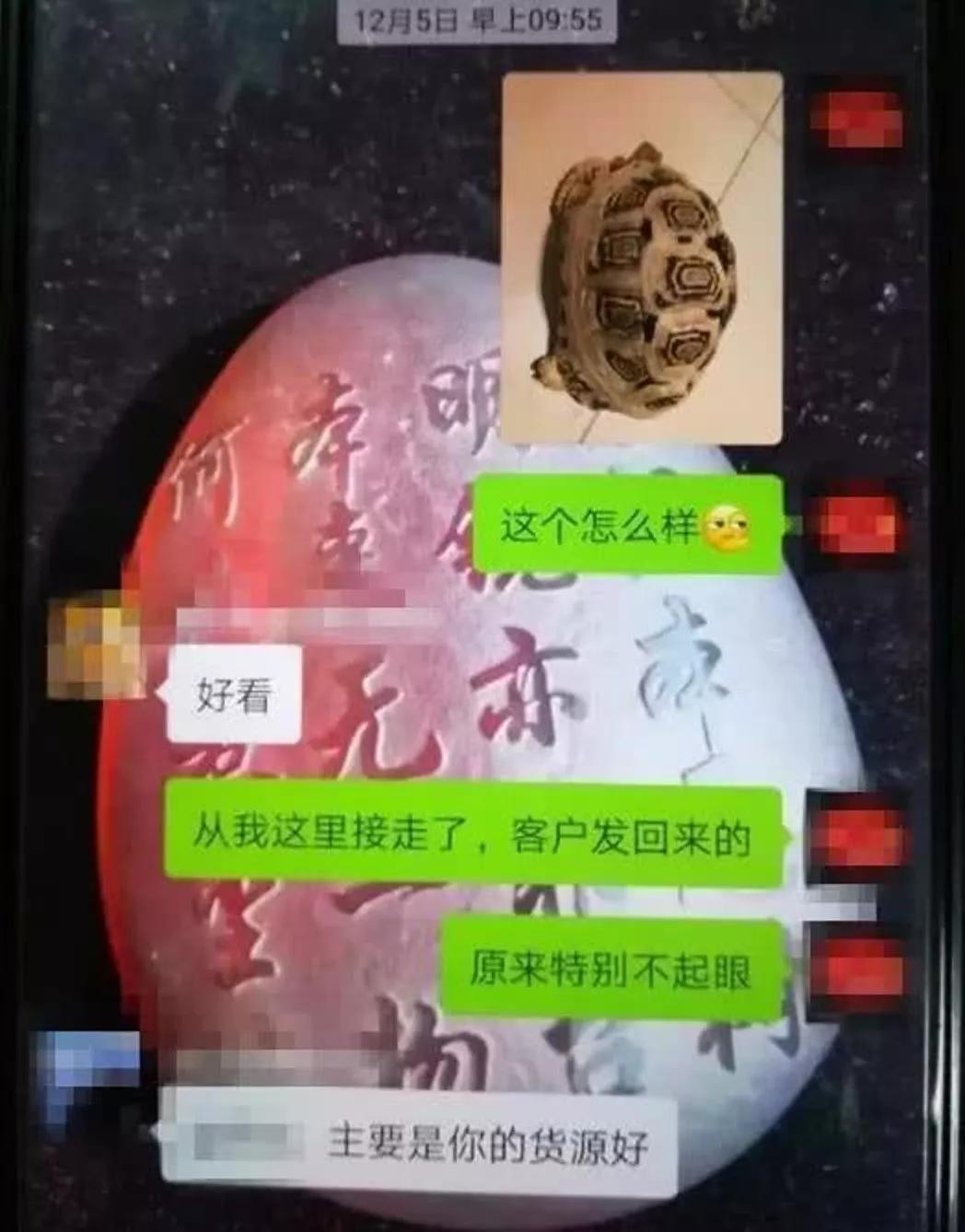 萌宠店动物的迷惑行为大赏,萌宠店曝光