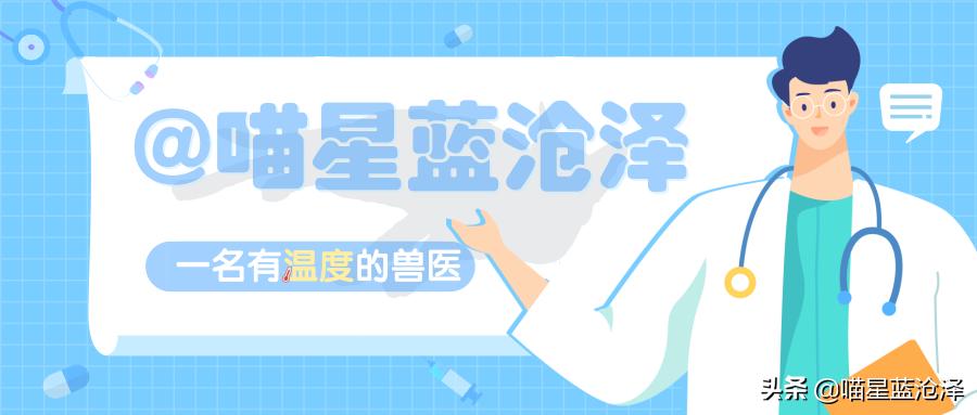 吾皇万岁万万岁，关于喵主子的冷知识，铲屎官们还不进来了解一下