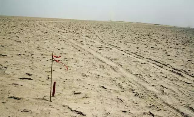 最好的万字长文,万字长文干货